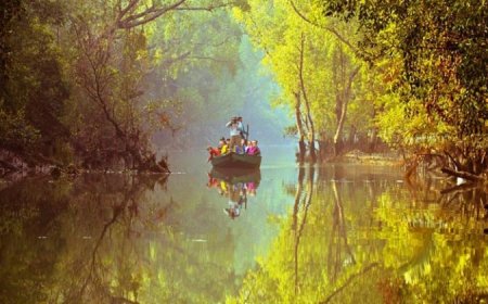 সুন্দরবন ভ্রমণ গাইড | যাওয়ার উপায়, ভ্রমণ প্যাকেজ, খরচ ও টিপস