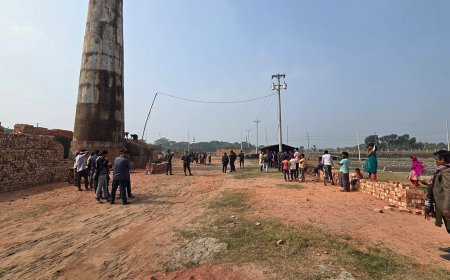 সাতক্ষীরায় ইটভাটায় অভিযান, পাঁচ লাখ টাকা জরিমানা