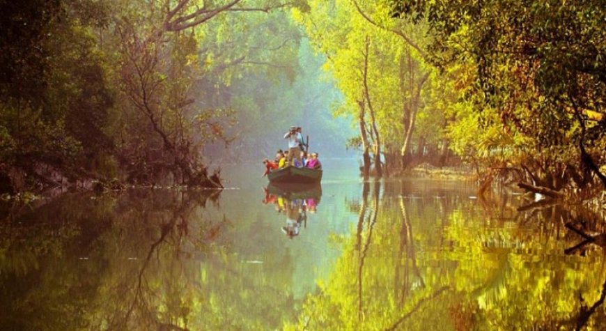 সুন্দরবন ভ্রমণ গাইড | যাওয়ার উপায়, ভ্রমণ প্যাকেজ, খরচ ও টিপস