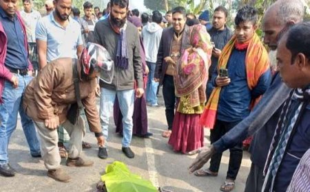 সাতক্ষীরায় পরিবহনের ধাক্কায় প্রাণ গেল ভ্যান চালকের