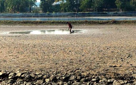 মোংলায় মৎসঘের দখল করে লক্ষাধিক টাকার মাছ লুট