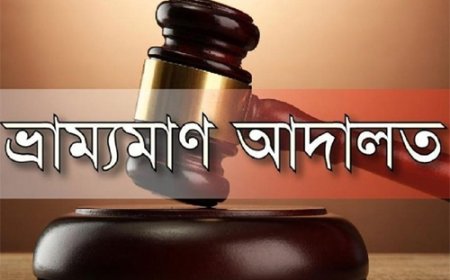 ডুমুরিয়ায় তিন ইটভাটাকে সাড়ে ৭ লক্ষ টাকা জরিমানা
