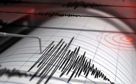 রাজধানীসহ দেশের বিভিন্ন স্থানে ভূমিকম্প