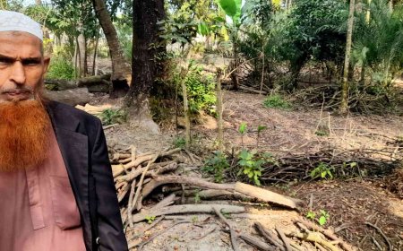 রামপালে বৃদ্ধের জমি আত্মসাতের চেষ্টা