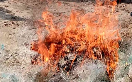 বাগেরহাটে নিষিদ্ধ কারেন্ট জাল পুড়িয়ে দিল নৌপুলিশ