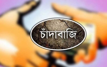 বাগেরহাটে বিএনপির সমন্বয়কের বিরুদ্ধে চাঁদাবাজিসহ বিভিন্ন অনিয়মের অভিযোগ