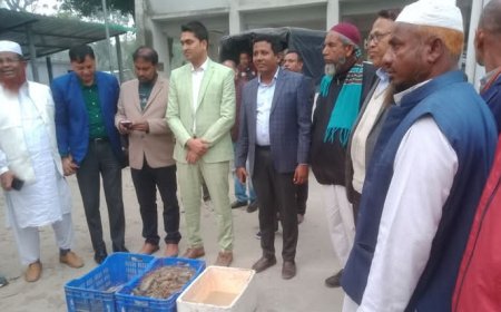 ডুমুরিয়ায় চিংড়িতে অপদ্রব্য পুশের অপরাধে ব্যবসায়ীর কারাদণ্ড, চিংড়ি বিনষ্ট