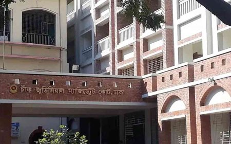 ৩৪৪ সাবেক এমপিকে আসামি করে মামলার আবেদন