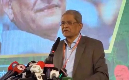 কিছু মানুষ ঐক্যে ফাটল ধরানোর চেষ্টা করছে : মির্জা ফখরুল