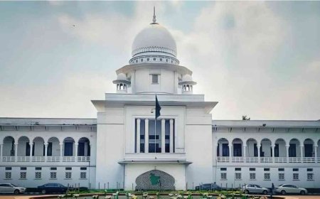 অন্তর্বর্তী সরকার নিয়ে বিতর্ক থাকতে পারে না : হাইকোর্ট