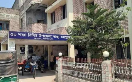 বাগেরহাটের মোংলায় নসিমন উল্টে চালকসহ নিহত- ২, আহত-৩