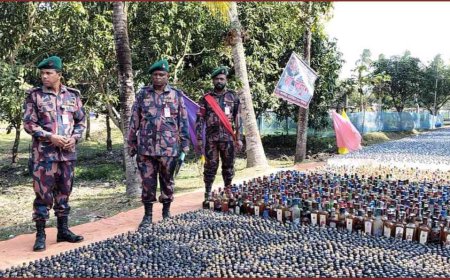 সাতক্ষীরায় বিপুল পরিমাণ মাদক ধ্বংস করলো বিজিবি