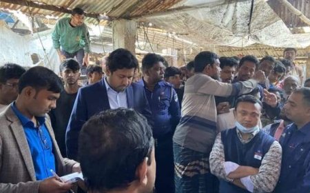 শ্যামনগরে গর্ভবতী গরু জবাই,৭ হাজার টাকা জরিমানা