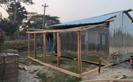 বাগেরহাটের মোংলায় কৃষি খামার দখল করে ঘর নির্মাণের অভিযোগ