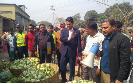 মহামান্য হাইকোর্টে নির্দেশ বাস্তবায়নে ডুমুরিয়ার আঠারমাইলে উচ্ছেদ অভিযান