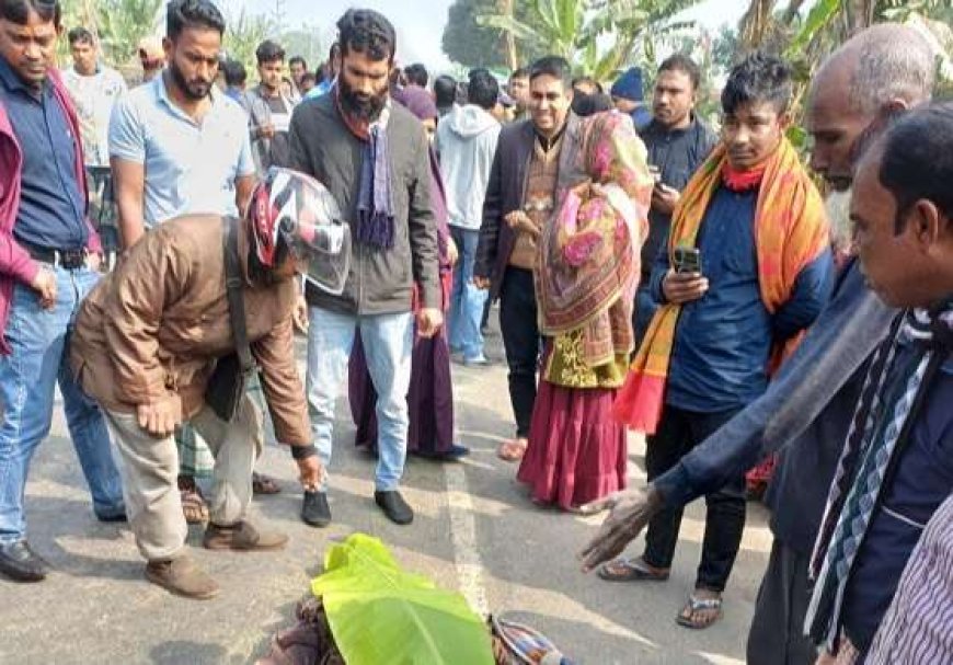 সাতক্ষীরায় পরিবহনের ধাক্কায় প্রাণ গেল ভ্যান চালকের