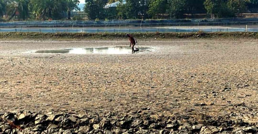 মোংলায় মৎসঘের দখল করে লক্ষাধিক টাকার মাছ লুট