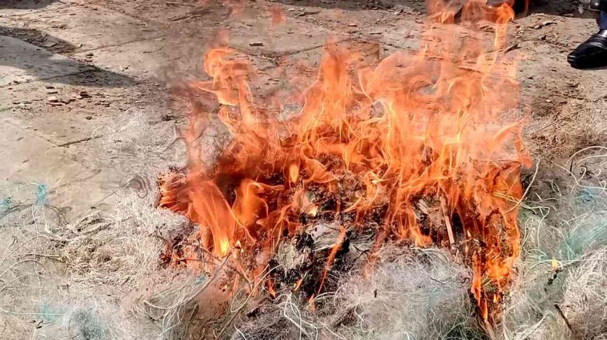 বাগেরহাটে নিষিদ্ধ কারেন্ট জাল পুড়িয়ে দিল নৌপুলিশ