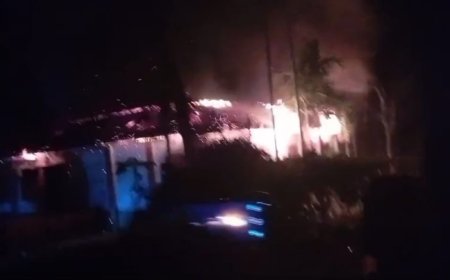 নাটোরে বসতবাড়িতে অগ্নিকান্ড, সব পুড়ে ছাই