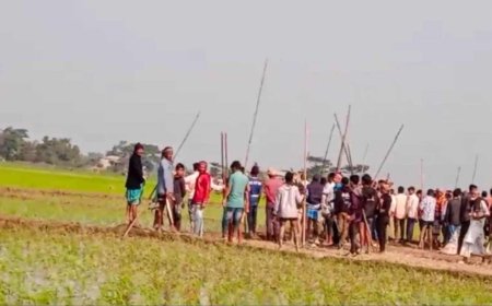 শান্তিগঞ্জে গরুর ধান খাওয়া নিয়ে দুই গ্রামবাসীর সংঘর্ষে আহত অর্ধশতাধিক