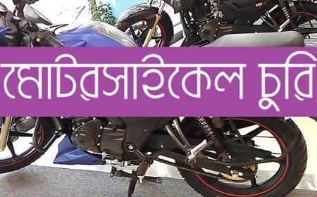 সাতক্ষীরায় সাংবাদিকের বাড়িতে দুর্ধর্ষ চুরি