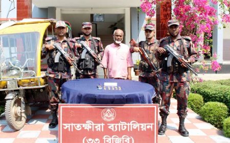 সাতক্ষীরায় আড়াই কোটি টাকা মূল্যের ১৫টি স্বর্ণের বারসহ আটক এক