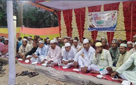 কালিগঞ্জের কৃষ্ণনগরে বিএনপির ইফতার মাহফিল ও দোয়া অনুষ্ঠান