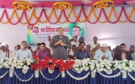 কালিগঞ্জে মতবিনিময় সভায় সকলকে ঐক্যবদ্ধ হওয়ার আহ্বান জানালেন বিএনপির জেলা নেতৃবৃন্দ