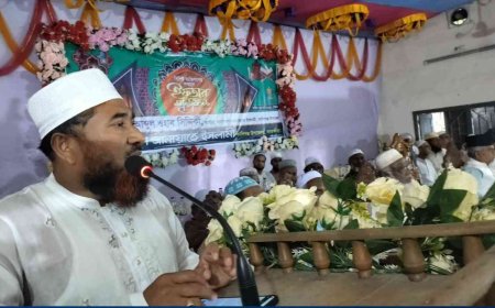 কালিগঞ্জে বিশিষ্টজনদের সম্মানে জামায়াতের ইফতার মাহফিল