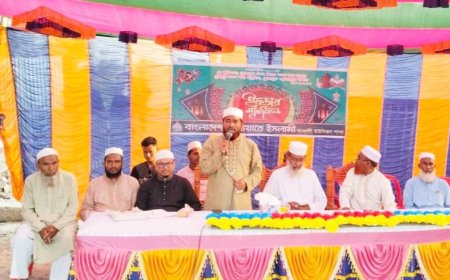 কালিগঞ্জের তারালী ইউনিয়নে জামায়াতে ইসলামীর ইফতার মাহফিল ও দোয়া অনুষ্ঠান