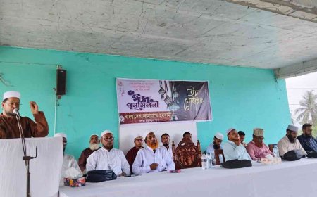 কালিগঞ্জের নলতায় বাংলাদেশ জামায়াতে ইসলামীর ঈদ পুনর্মিলনী