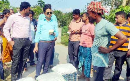 কালিগঞ্জে ২৮ ক্যারেট অপরিপক্ক গোবিন্দভোগ আম জব্দ, ব্যবসায়ীকে জরিমানা