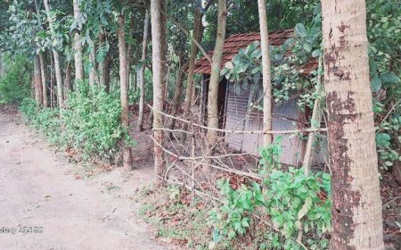 কালিগঞ্জে ভাড়াটিয়া বাহিনী নিয়ে বসতভিটা জবরদখল ও ঘরবাড়ি ভাংচুর, দুই নারী আহত