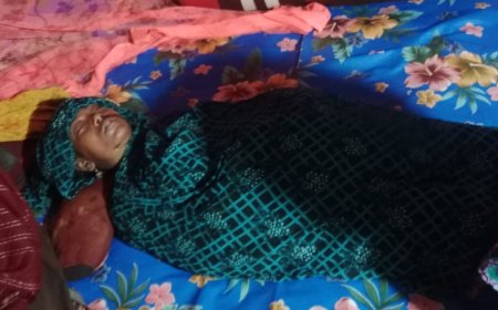 কালিগঞ্জে মোবাইলের জন্য স্ত্রীকে পিটিয়ে হত্যা, স্বামী ও ভাসুর আটক