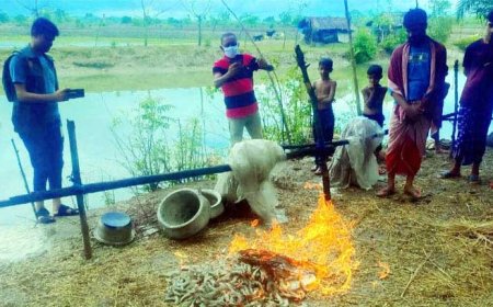 কালিগঞ্জে অপদ্রব্য পুশকৃত ৪০ কেজি বাগদা বিনষ্ট, নারীকে ২০ হাজার টাকা জরিমানা