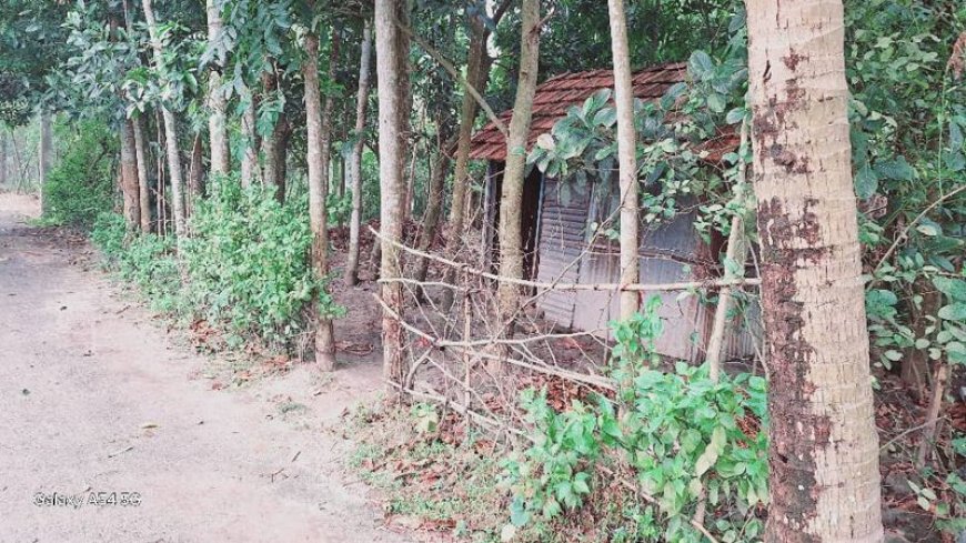 কালিগঞ্জে ভাড়াটিয়া বাহিনী নিয়ে বসতভিটা জবরদখল ও ঘরবাড়ি ভাংচুর, দুই নারী আহত