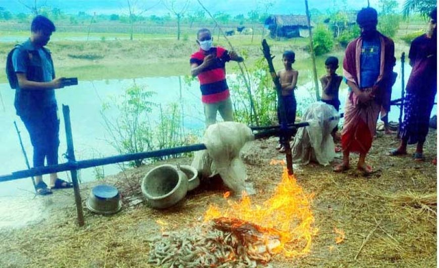 কালিগঞ্জে অপদ্রব্য পুশকৃত ৪০ কেজি বাগদা বিনষ্ট, নারীকে ২০ হাজার টাকা জরিমানা
