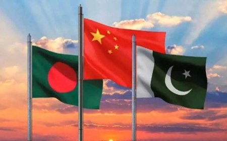 সার্কের বিকল্প নতুন জোট আনছে চীন-পাকিস্তান, আছে বাংলাদেশও