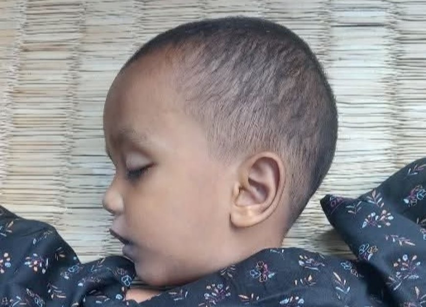 সাতক্ষীরার কালিগঞ্জে নোংরা ডোবায় পড়ে প্রাণ গেল শিশুর