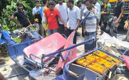 ভূরুঙ্গামারীতে ট্রাক-অটোর মুখোমুখি সংঘর্ষে একই পরিবারের শিশুসহ নিহত ২, আহত ৩