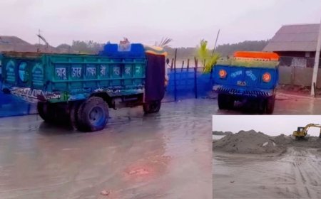 কালিগঞ্জে গ্রামীণ সড়কে বালু ব্যবসায়ীদের অবৈধ পরিবহনের অবাধ বিচরণ, জনদুর্ভোগ চরমে