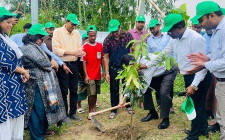তারুণ্যের উৎসব, জুলাই বিপ্লব ও জুলাই শহীদ দিবস উদযাপন