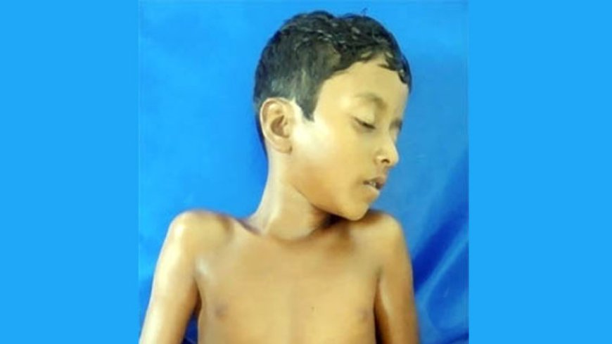 সাতক্ষীরার কালিগঞ্জে পানিতে ডুবে শিশুর মৃত্যু