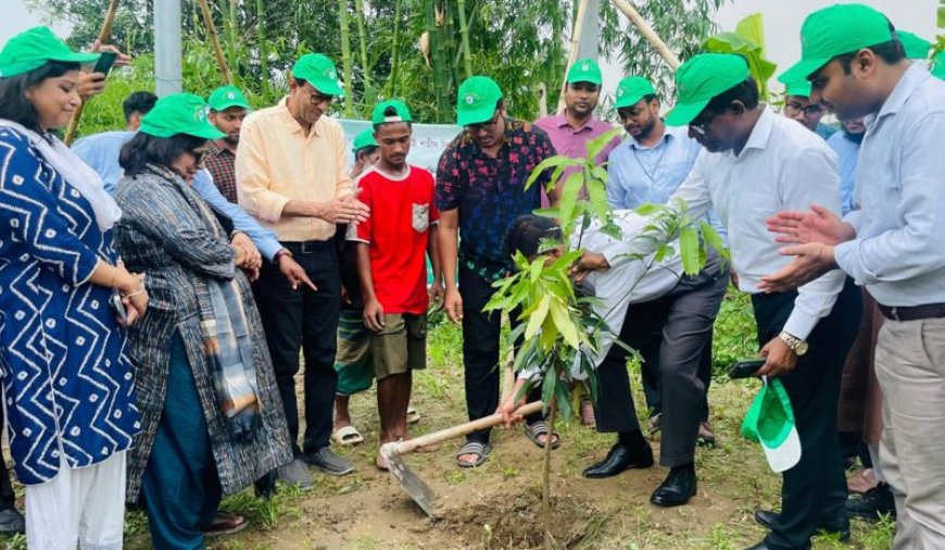 তারুণ্যের উৎসব, জুলাই বিপ্লব ও জুলাই শহীদ দিবস উদযাপন
