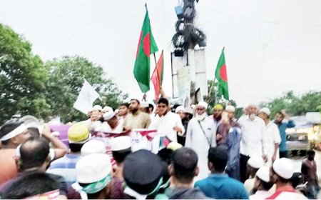 ফ্যাসিবাদের পতনের বর্ষপূর্তিতে  কালিগঞ্জে জামায়াতের বিশাল গণমিছিল ও সমাবেশ