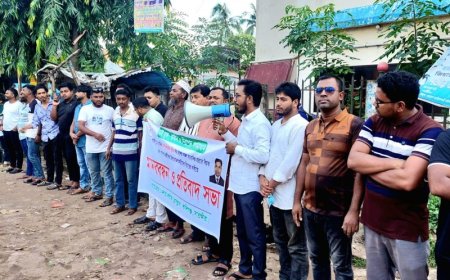 সাংবাদিক তুহিন হত্যার প্রতিবাদে কালিগঞ্জের নলতায় মানববন্ধন ও সমাবেশ