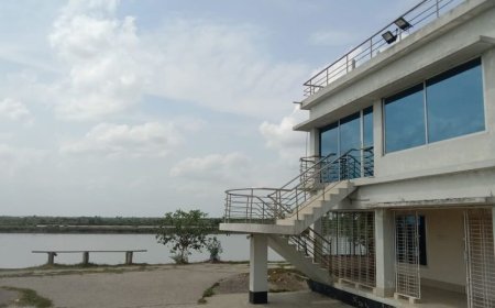 শ্যামনগরে বহুল আলোচিত মৎস্য প্রজেক্ট অবৈধ দখল মুক্ত, কোটি টাকার  মাছ লুটপাট!