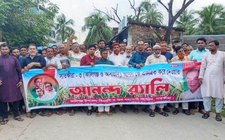 অখন্ড কালিগঞ্জ উপজেলা নিয়ে সাতক্ষীরা-৩ আসন হওয়ায় বিএনপি’র আনন্দমিছিল