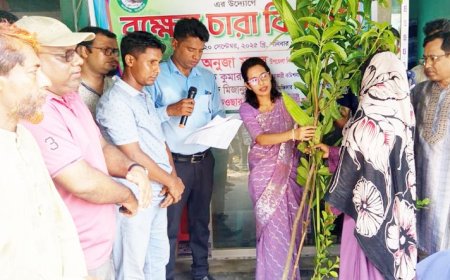সাতক্ষীরার কালিগঞ্জে রিপোর্টার্স ক্লাবের উদ্যোগে বৃক্ষের চারা বিতরণ