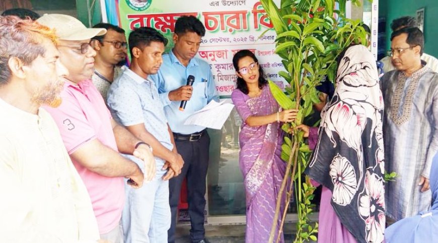 সাতক্ষীরার কালিগঞ্জে রিপোর্টার্স ক্লাবের উদ্যোগে বৃক্ষের চারা বিতরণ